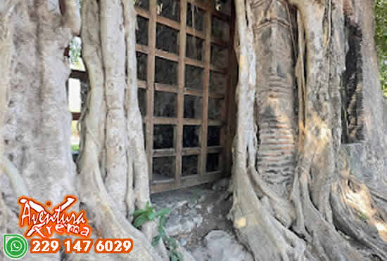 Tour Cultural a La Antigua Saliendo de Veracruz o Boca del Río