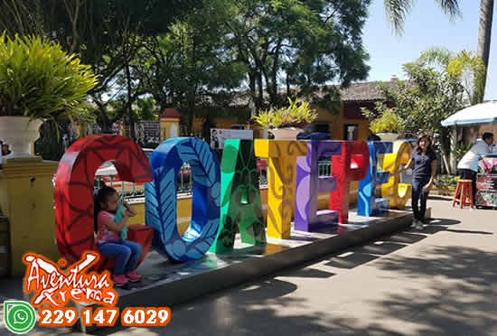 Tour a Coatepec y Fincas de Café Saliendo de Veracruz o Boca del Río